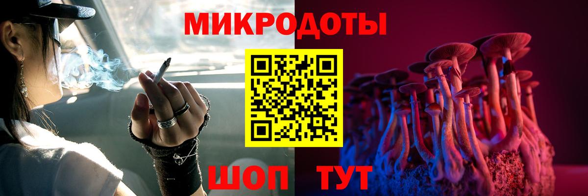 Псилоцибиновые грибы Psilocybe Озёрск